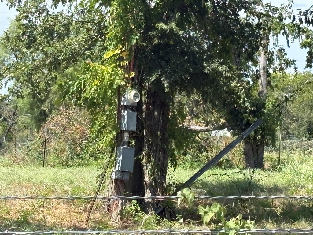 Picture 13