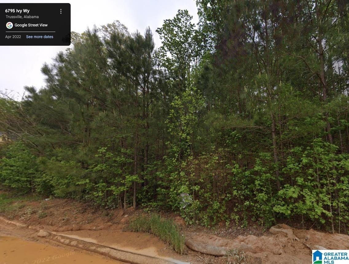 Residential Lot in Trussville, AL