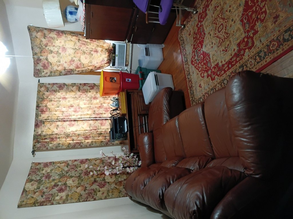 Picture 18