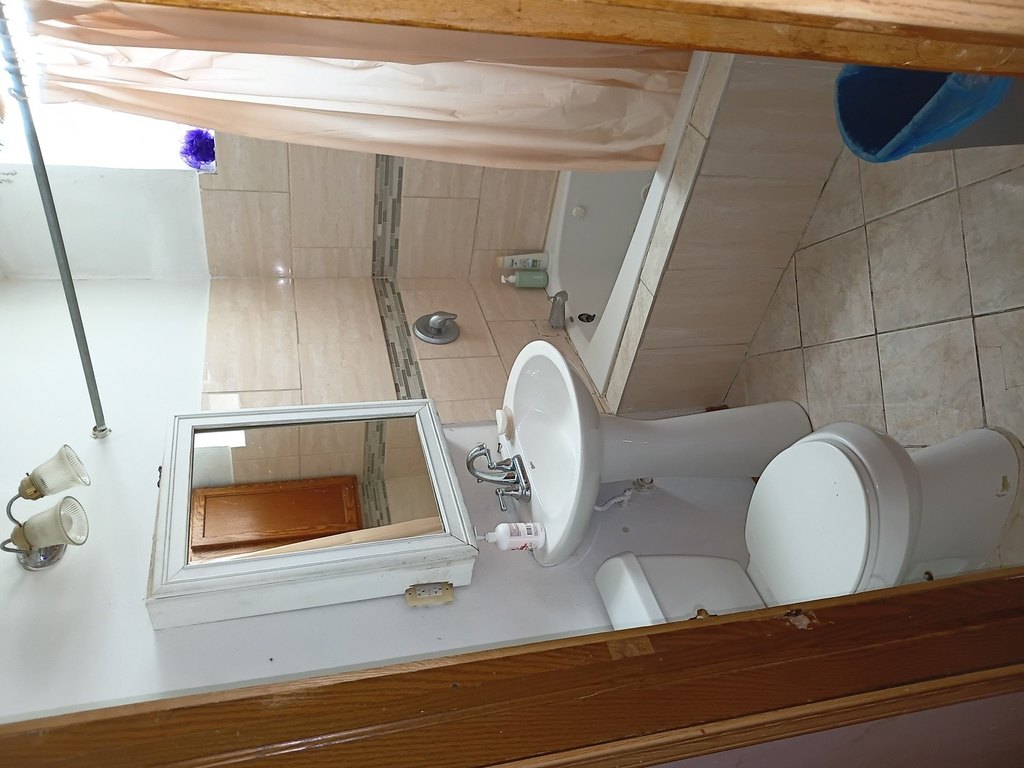 Picture 21