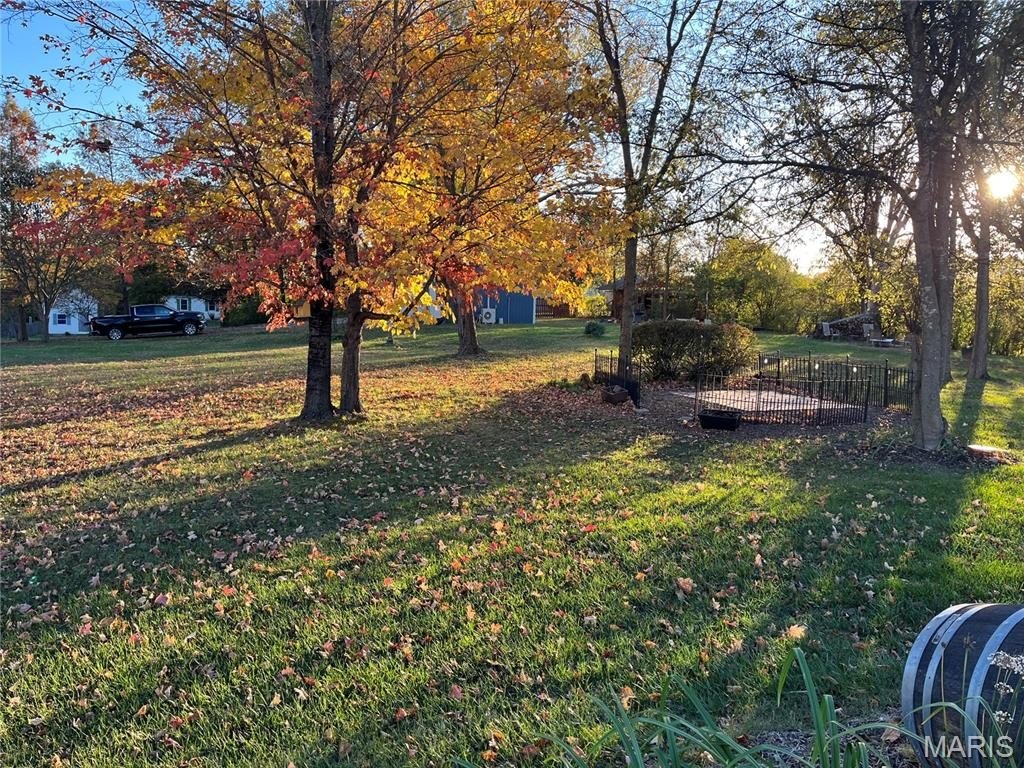 Picture 15