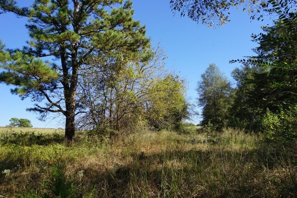 Picture 14