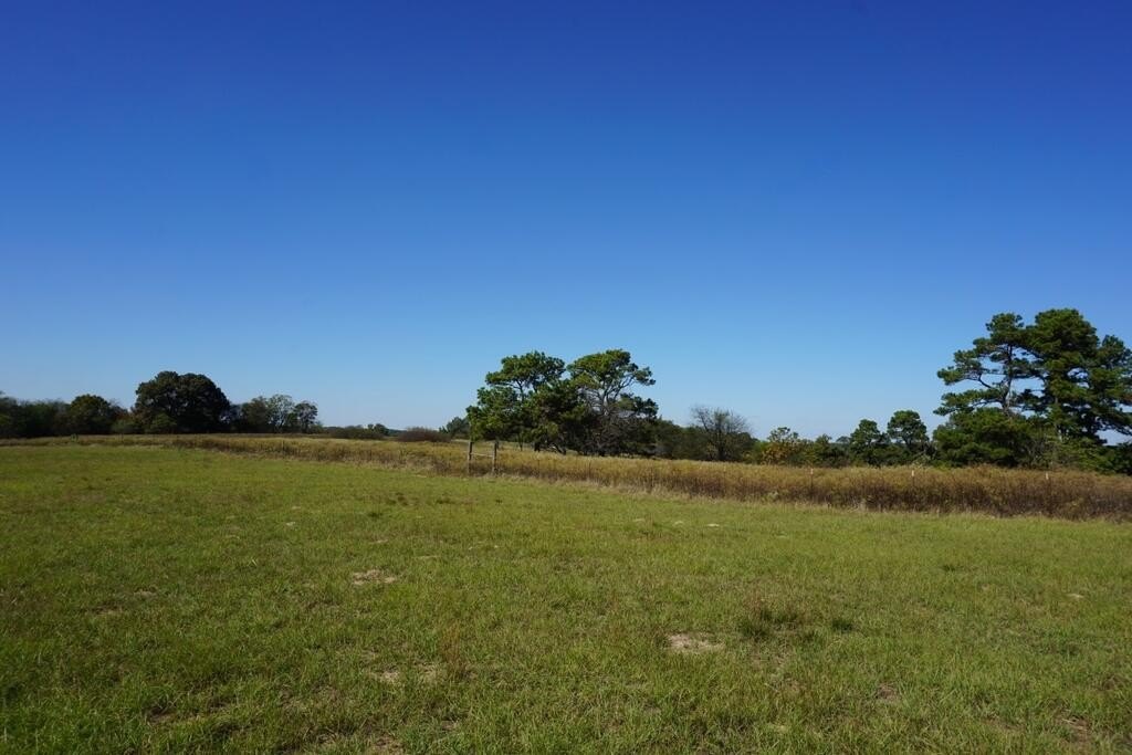 Picture 22