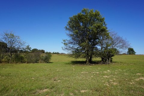 Land, Naples, TX