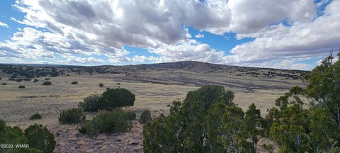 Concho, AZ Land Parcel
