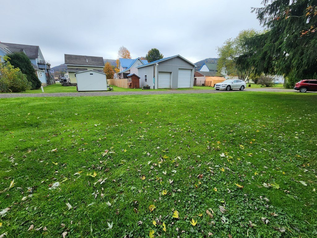 Picture 5