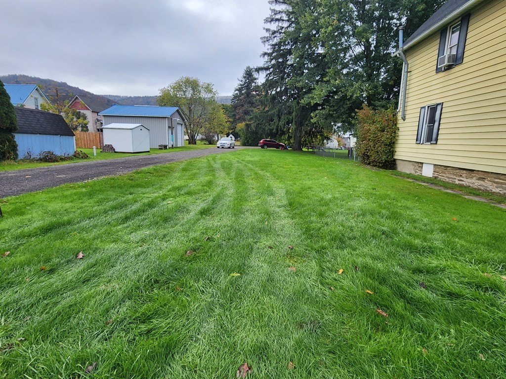 Picture 6