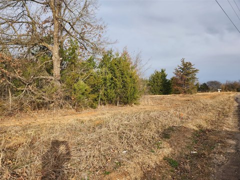 Land in Saltillo School District