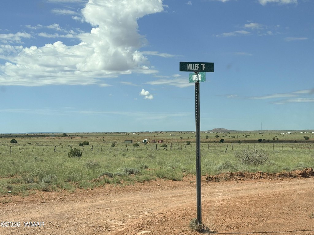 Picture 20