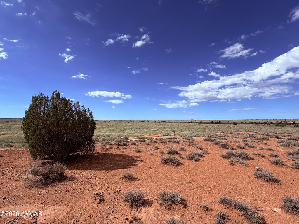 Picture 8