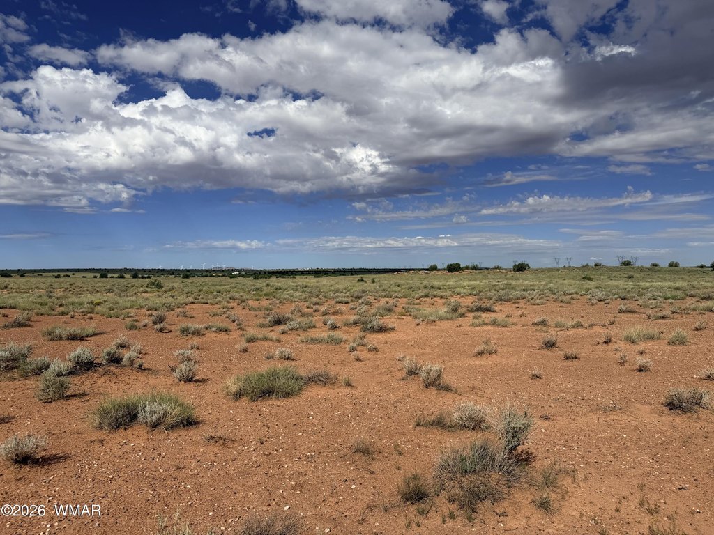Picture 9