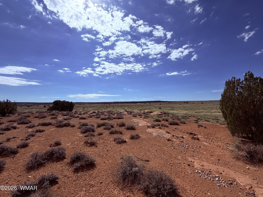 Picture 19