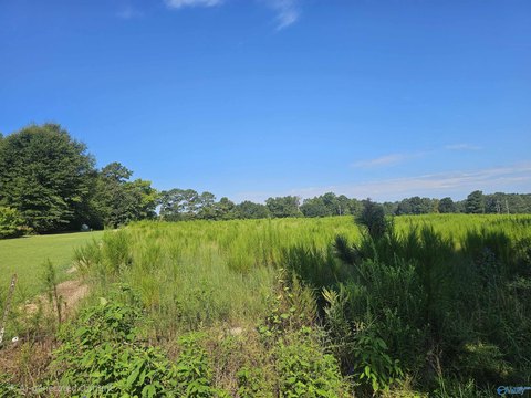 Land, Arab, AL