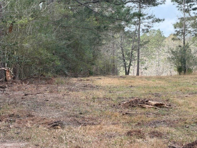 Picture 12
