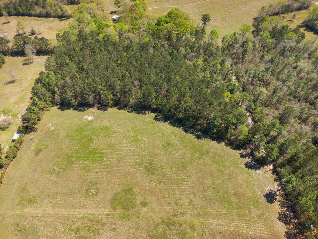 Picture 21