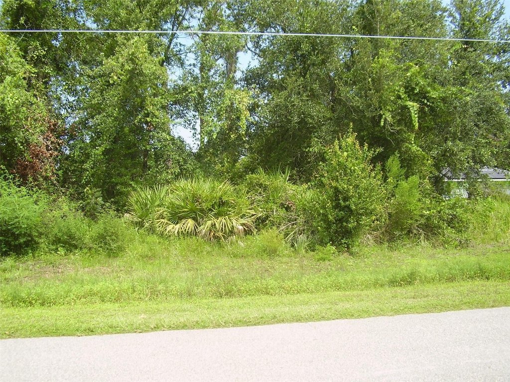 Picture 4