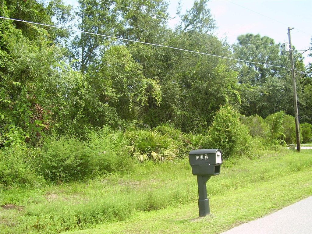 Picture 3