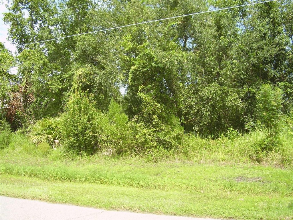 Picture 2