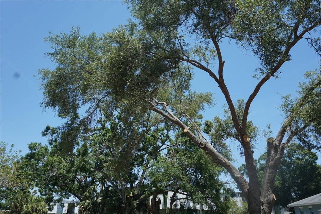 Picture 13