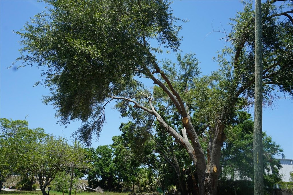 Picture 16
