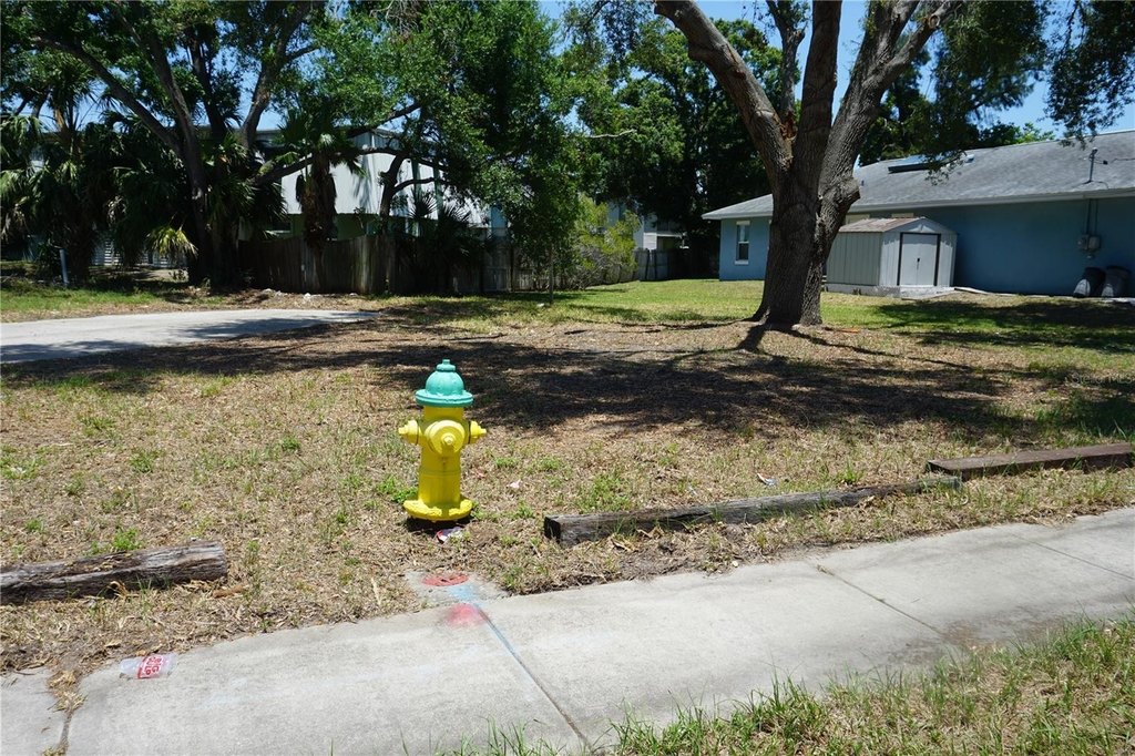 Picture 8