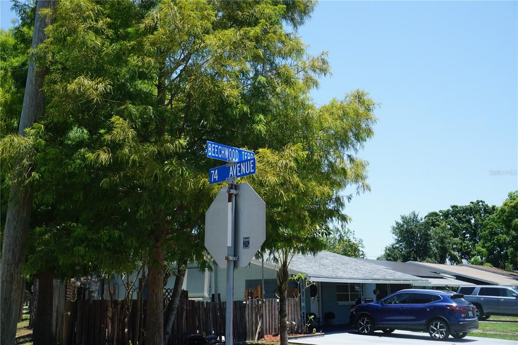 Picture 22