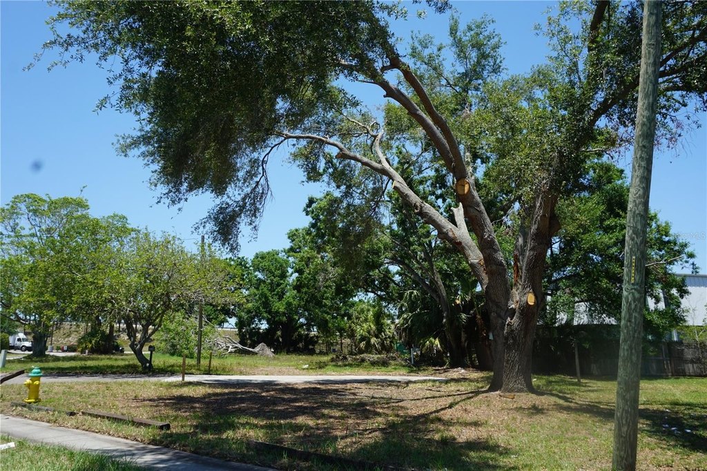 Picture 15