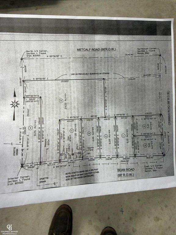 Picture 4