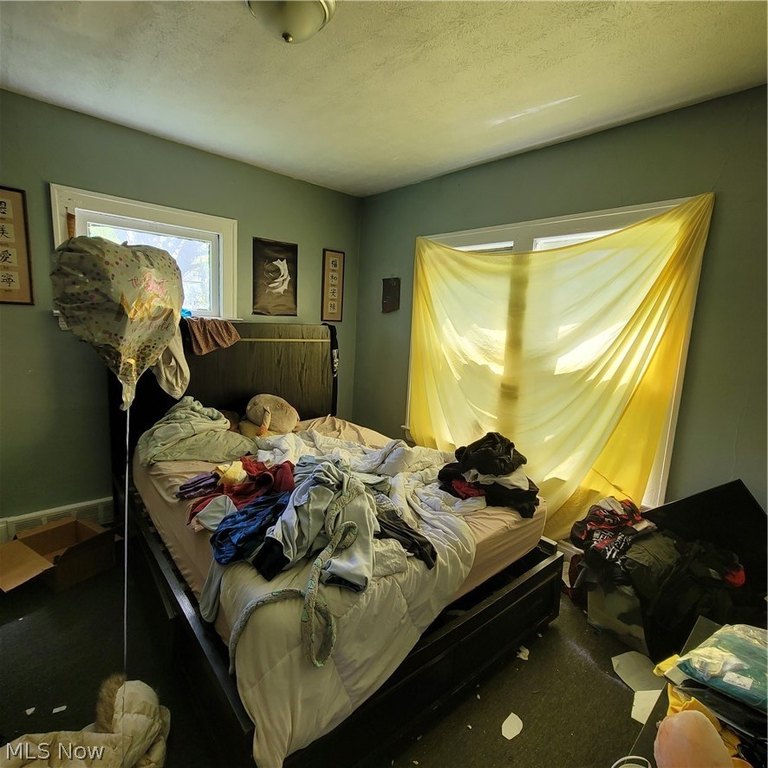 Picture 27