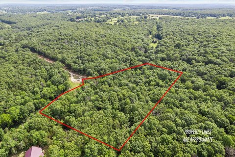 Secluded Marshfield Land For Sale