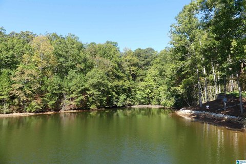 LAND/LOTS, WEDOWEE, AL