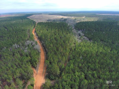 Timber Hunting Tract with Creek Crossing