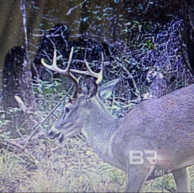 Picture 12