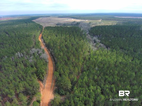 Timber Hunting Tract with Creek Crossing