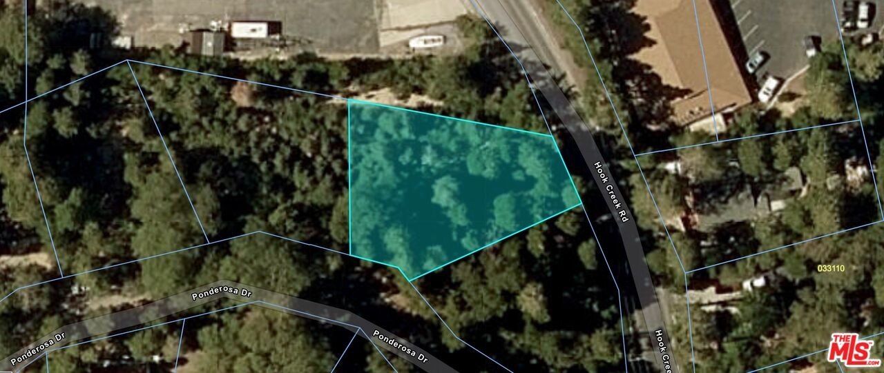 Land in Cedar Glen, CA