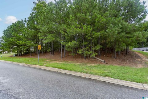 LAND - CHELSEA, AL