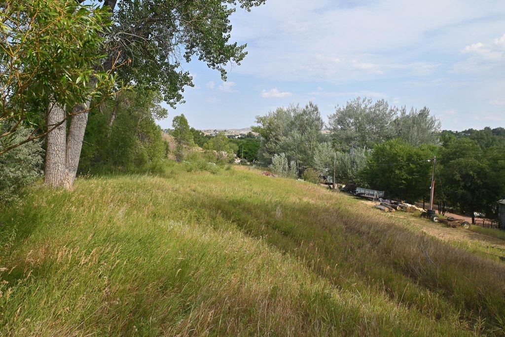 Picture 8