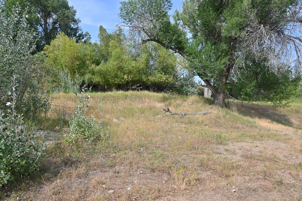 Picture 9