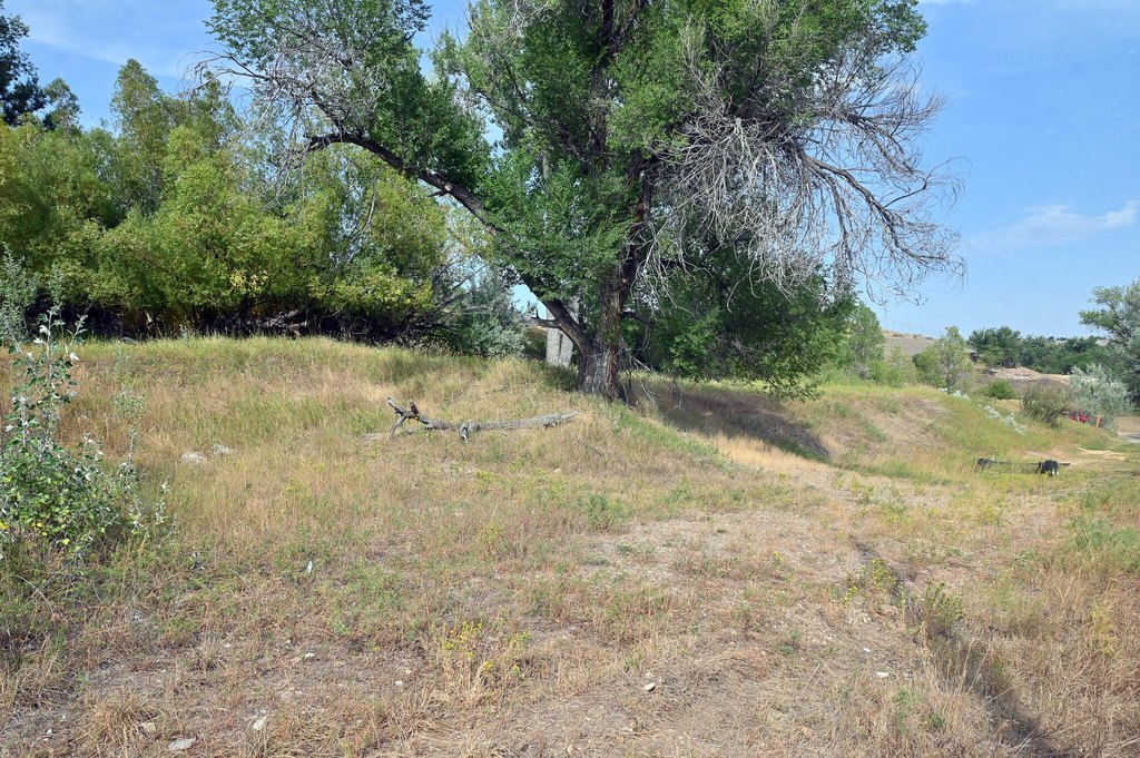 Picture 12
