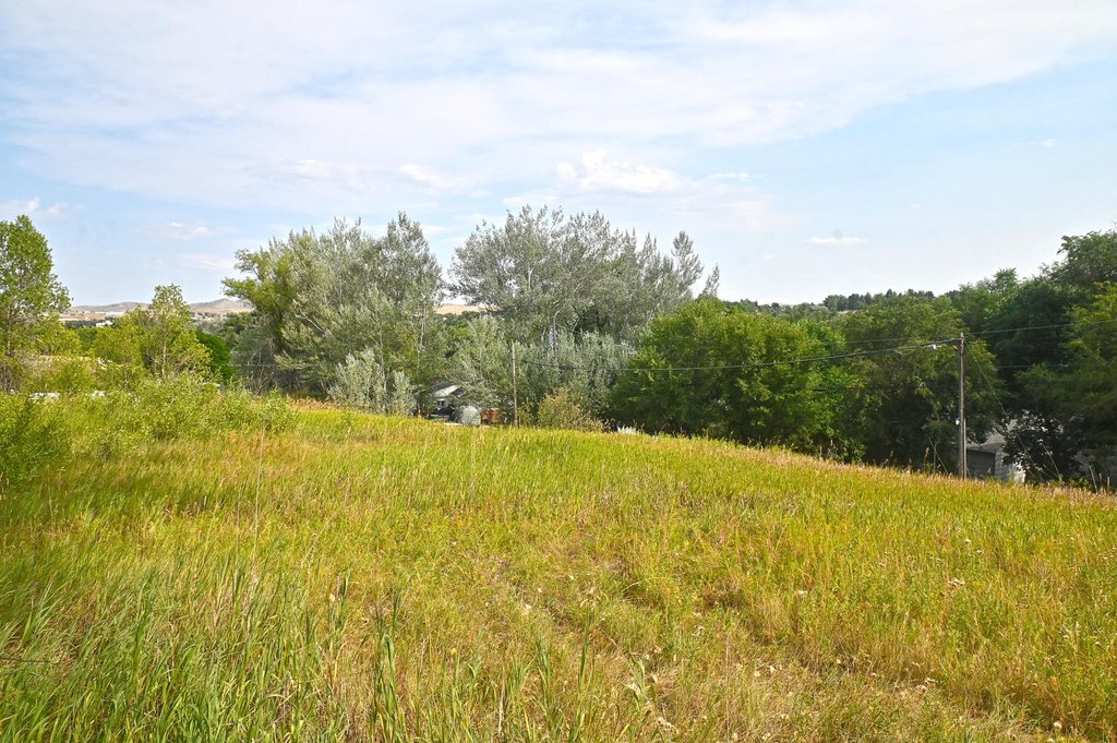 Picture 15