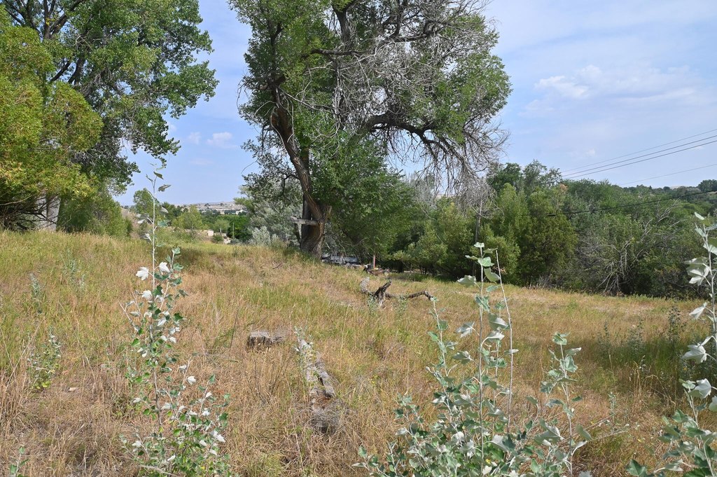 Picture 7