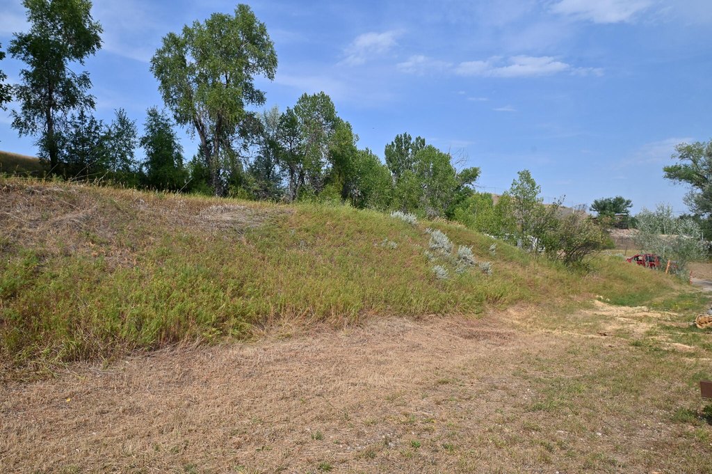 Picture 10