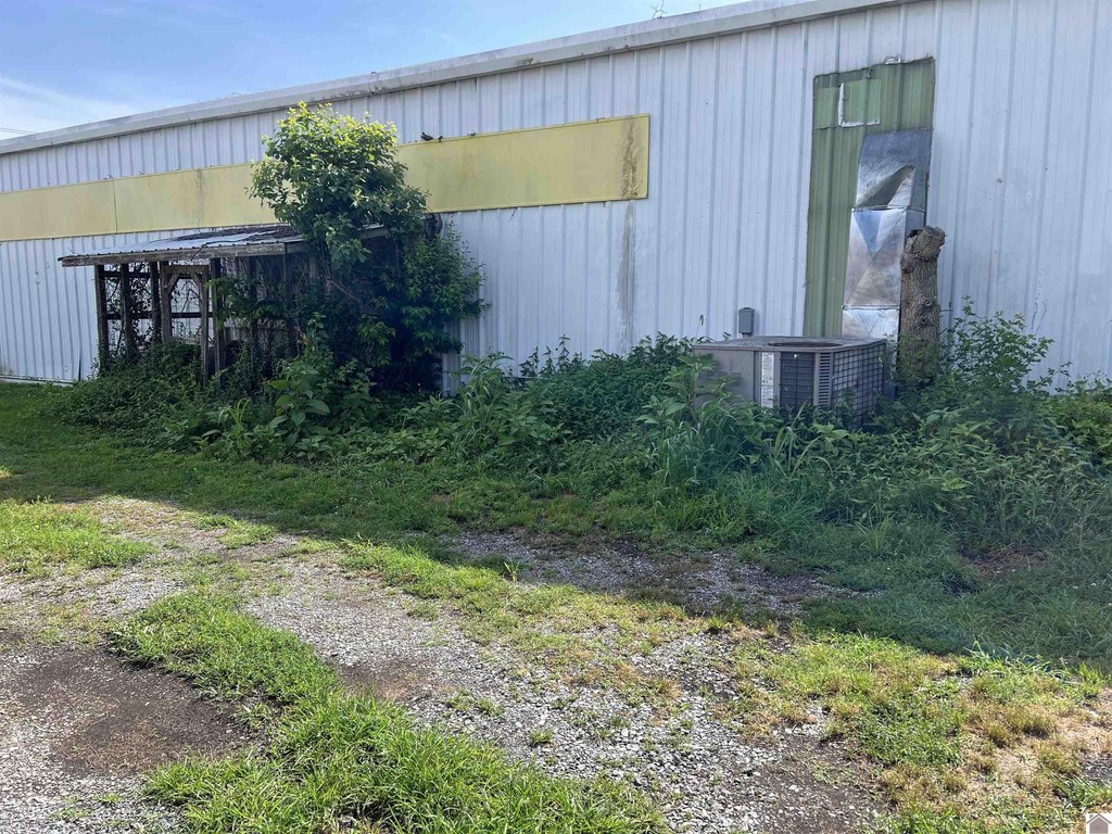 Picture 25
