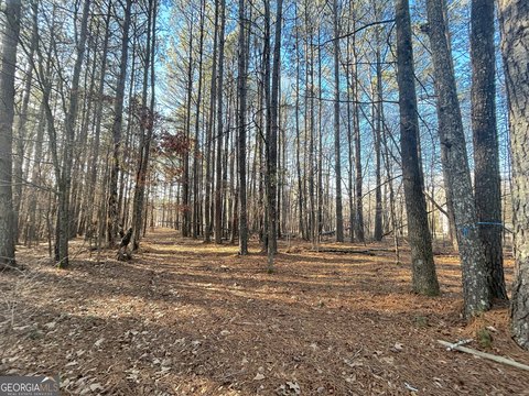 Ready-to-Build Lot in West Cobb