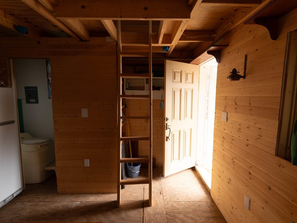 Picture 7