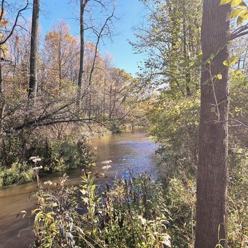 34+ Acres Hunting/Recreational Land