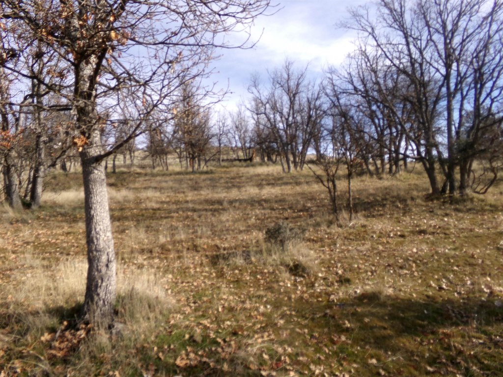 Picture 4