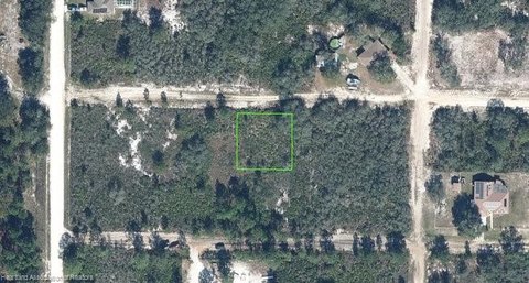 LAND - Avon Park, FL