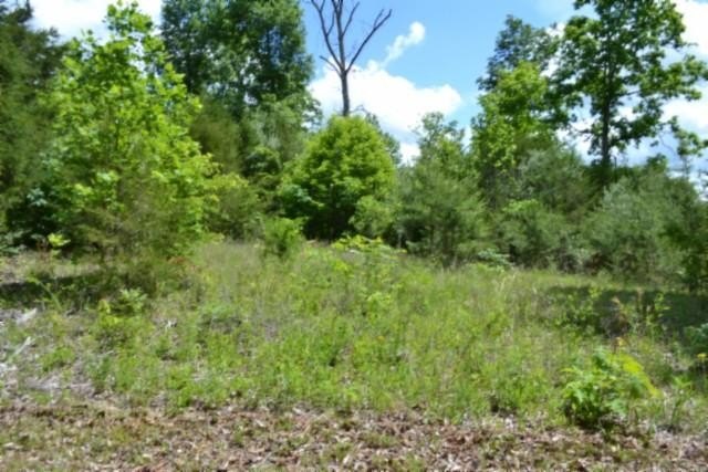 Wooded Land Near Sulphur Creek