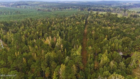 Choctaw County Land For Sale